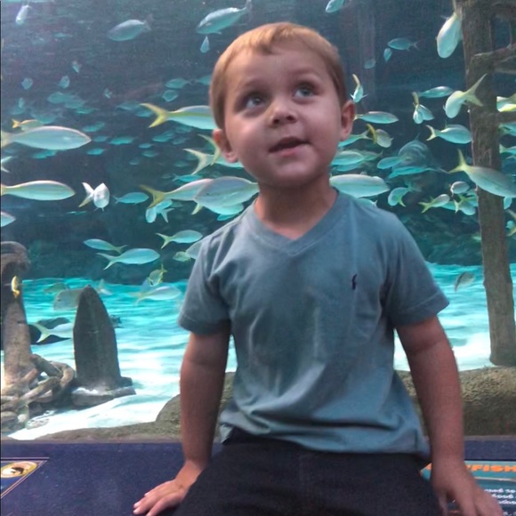 Meet your posher - Picture 3 of 8